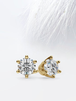 Round Diamond Crown Set Moissanite Earrings For Women